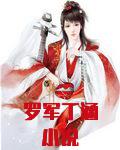 罗军丁涵小说