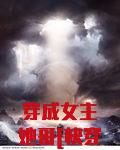 穿成女主她哥[快穿]