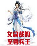 女总裁的至尊兵王