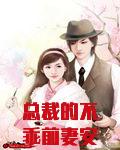 总裁的不乖前妻安然