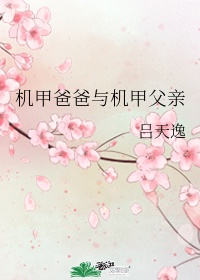 机甲爸爸与机甲父亲