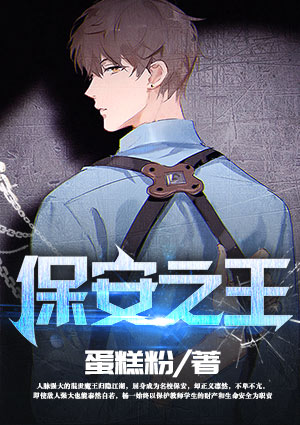 保安之王