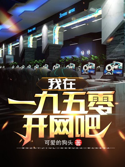 我在一九五零开网吧