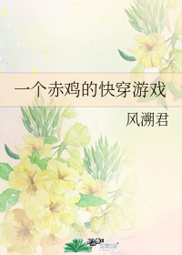 一个赤鸡的快穿游戏