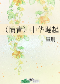 （愤青）中华崛起