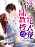 小妻太水嫩：陆教授花式宠