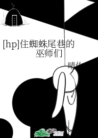 [hp]住蜘蛛尾巷的巫师们