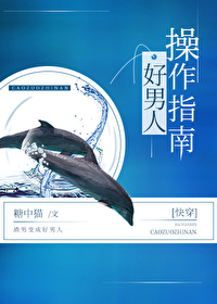 好男人的操作指南(穿书)晋江