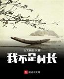 我不是村长