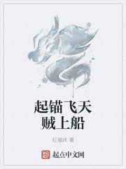 起锚飞天贼上船