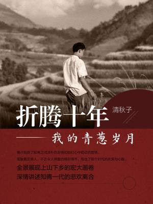 折腾十年：我的青葱岁月