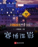 赛博谍影