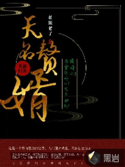 无名赘婿