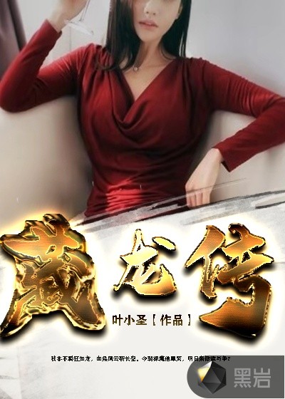 藏龙传