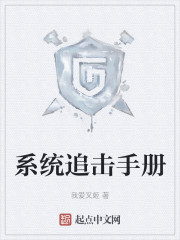 追求系统