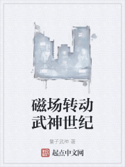 磁场转动武神世纪