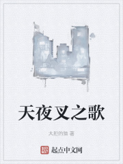 天夜叉之歌