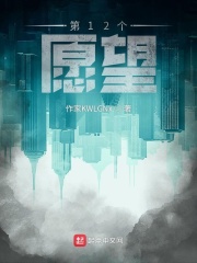 第12个愿望