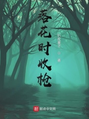 落花时收枪