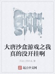 大唐沙盒游戏之我真的没开挂啊