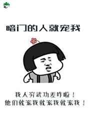 暗门的人就宠我