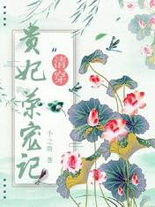 清穿贵妃荣宠记