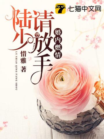 婚内燃情