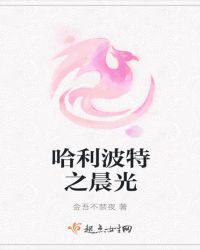 哈利波特之晨光下载
