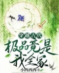 穿越古代，极品竟是我全家