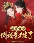 清穿好孕：侧福晋又生了