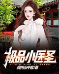 极品小医圣