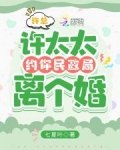 许总，许太太约你民政局离个婚