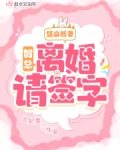 替身娇妻：贺总，离婚请签字
