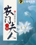 农门一品夫人