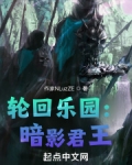 轮回乐园：暗影君王