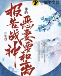 报告战神，你的恶妻要和离