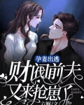孕妻出逃，财阀前夫又来抢崽了！