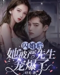 闪婚后，她被严先生宠爆了