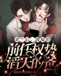 重生后，我嫁给前任权势滔天的爸