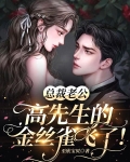 总裁老公：高先生的金丝雀飞了！