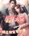 总裁大佬狠狠爱，顾总独宠契约妻