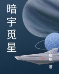 暗宇觅星