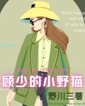 顾少的小野猫