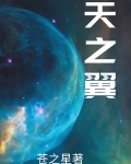天之翼