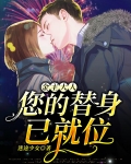 金主大人，您的替身已就位