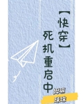 【快穿】死机重启中