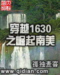 穿越1630之崛起南美洲