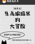 乐高蝙蝠崽的大冒险[综英美]