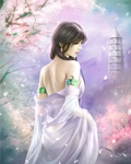 大清望族（清穿）