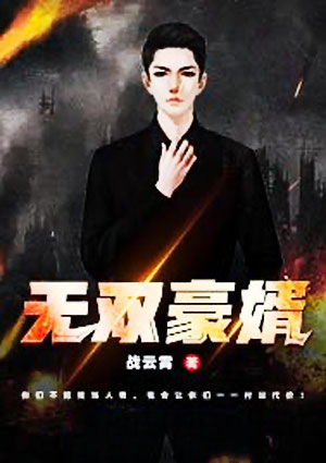 无双豪婿